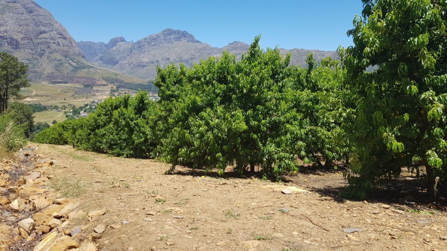 Commercial Property for Sale in Stellenbosch Farms Western Cape